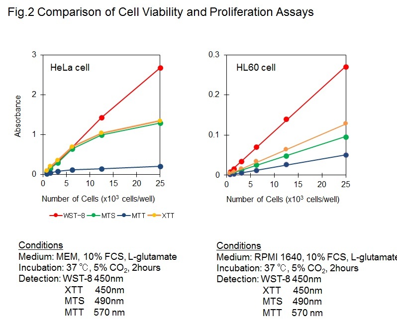 MTT Cell Proliferation, Viability And Toxicity Assay Kit, 43 OFF